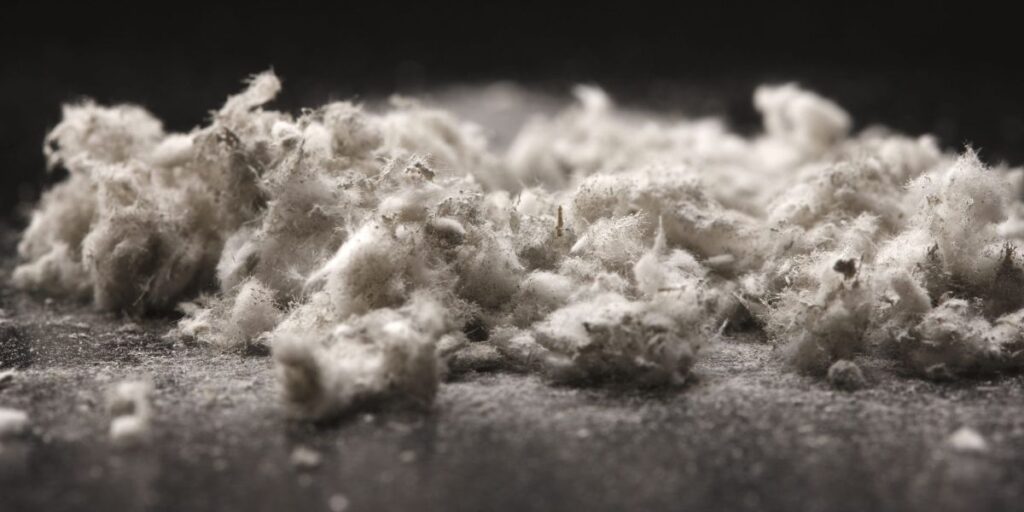 asbestos testing
