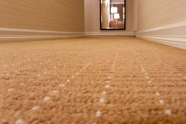 carpet cleaning services