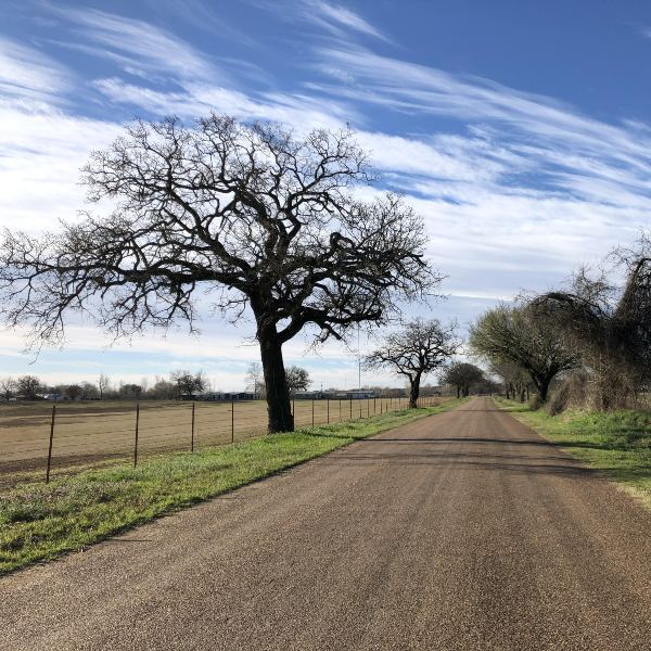 western Texas