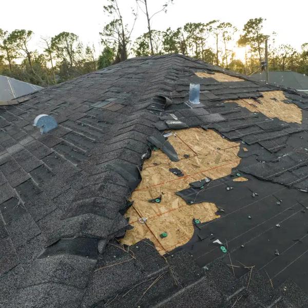 wind damage